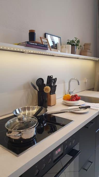 Moka Living-Sunset Apt, Nordic Design,Kueche,Wlan, Smarttv Magdeburg Eksteriør bilde